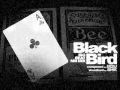Black Bird